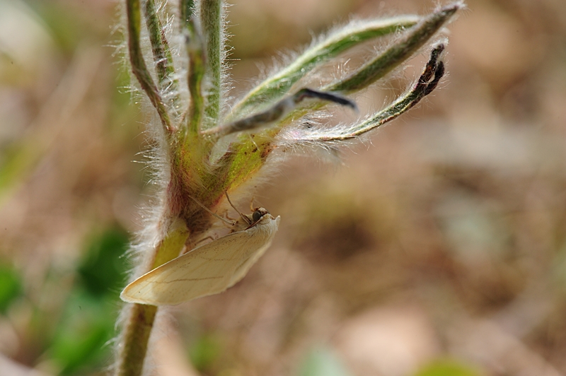 100416_129__01.JPG