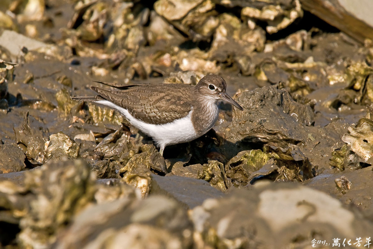 DSC_9979.jpg