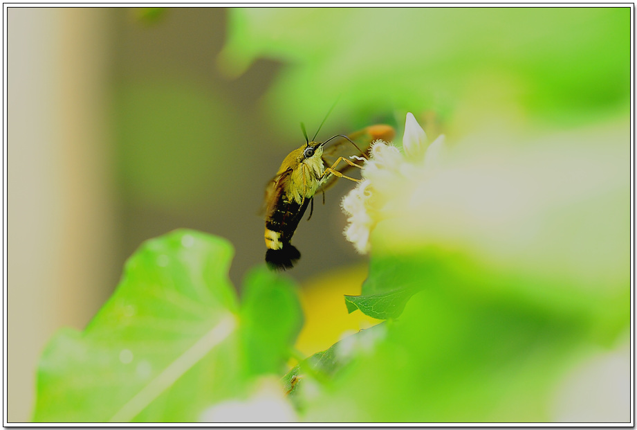 20100822_6110.jpg