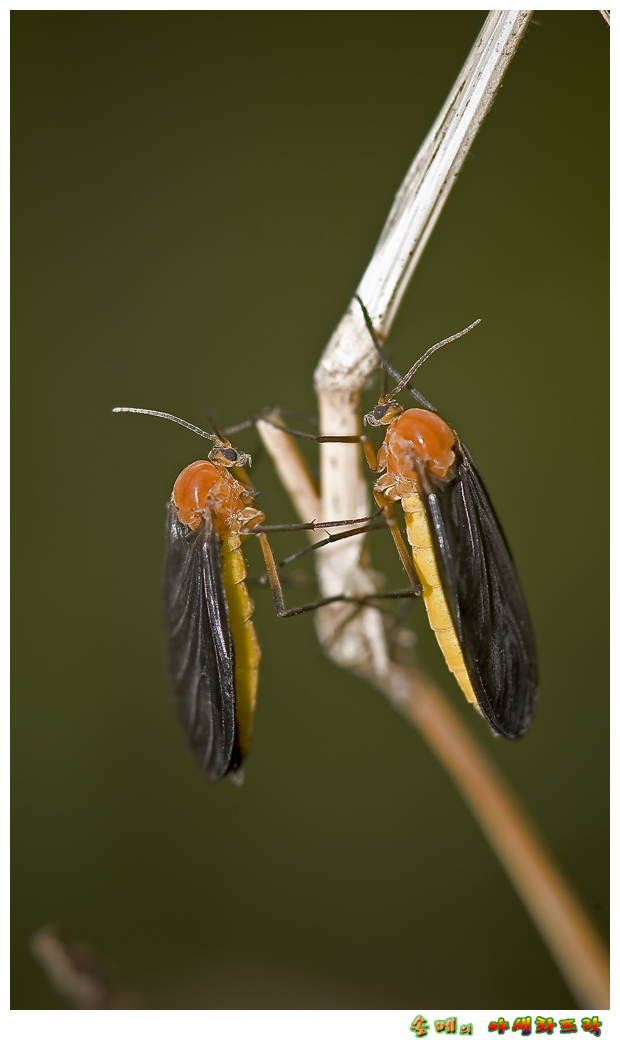 DSC_2260-1.jpg