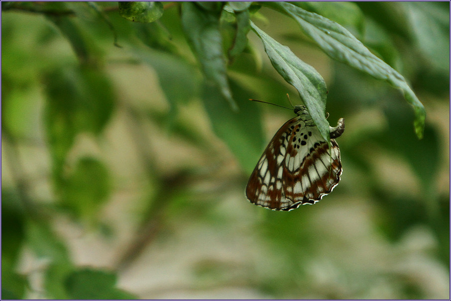 꾸미기_2011-07-08 085.jpg