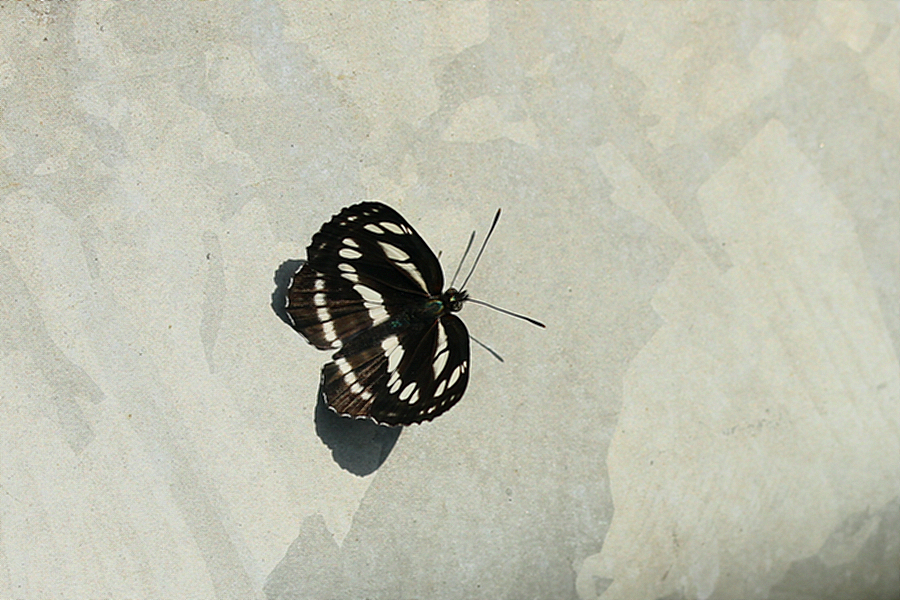 꾸미기_2010-05-08 054.jpg