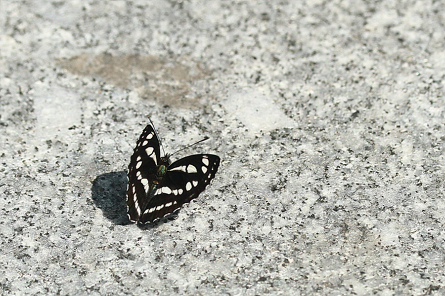 꾸미기_2010-05-08 052.jpg