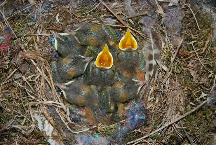 dsc_0131_kskfem.jpg