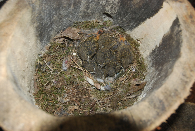 dsc_0348_kskfem.jpg