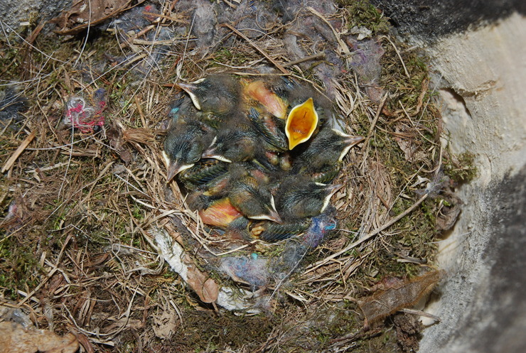 dsc_0187_kskfem.jpg