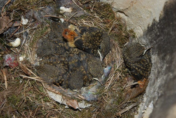 dsc_0275_kskfem.jpg