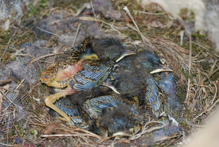 dsc_0221_kskfem.jpg
