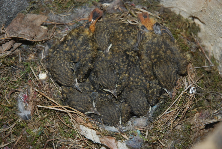 dsc_0347_kskfem.jpg