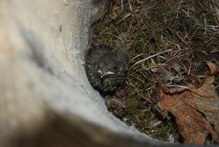 dsc_0288_kskfem.jpg