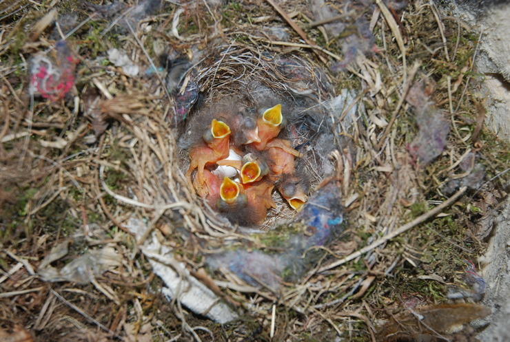 dsc_0147_kskfem.jpg