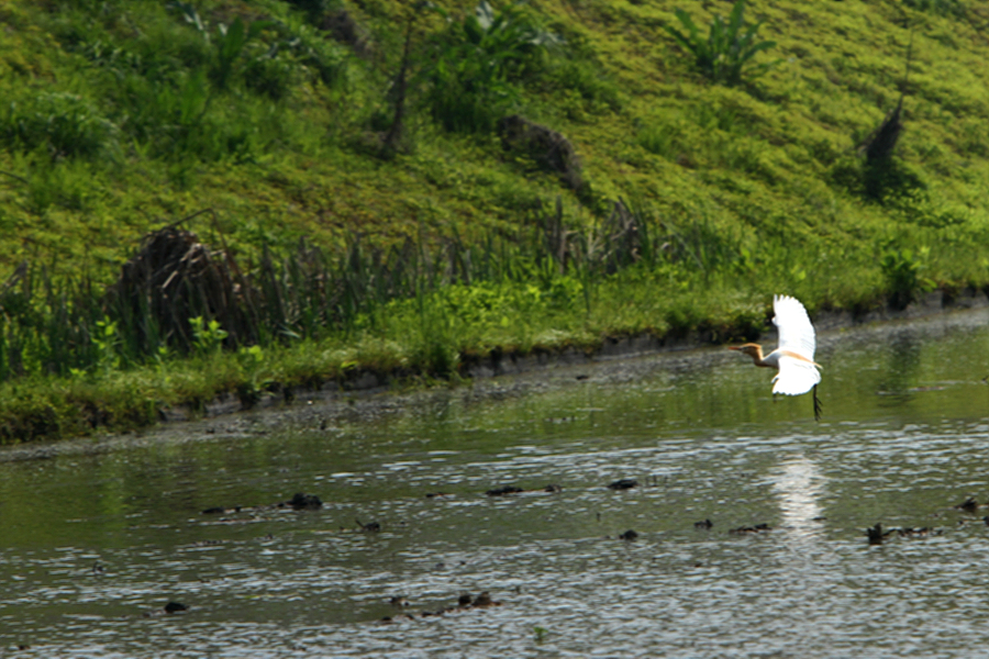 꾸미기_2010-05-13 099.jpg