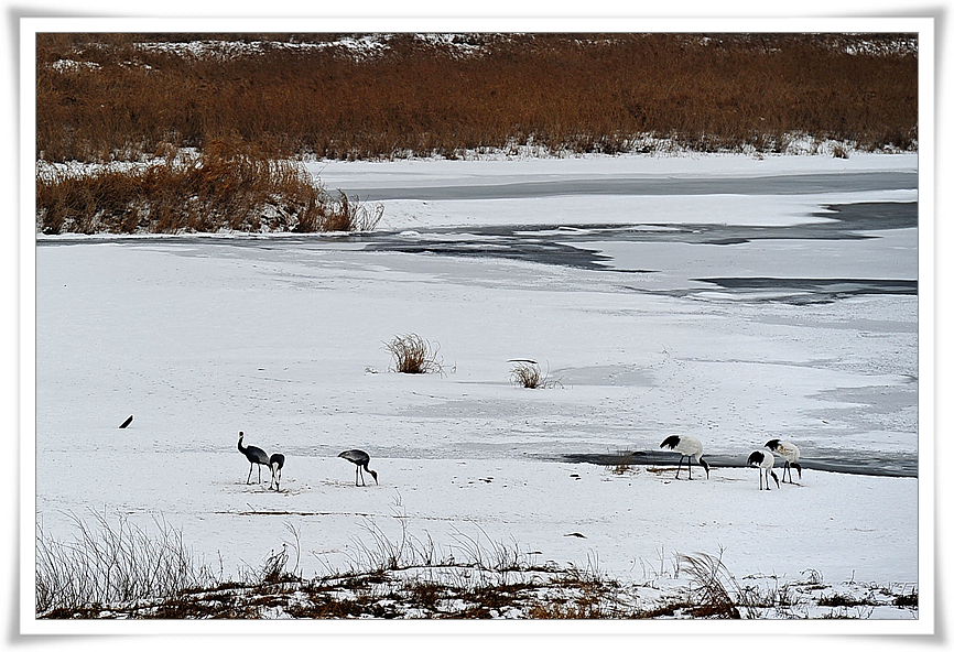 DSC_2502-1.jpg