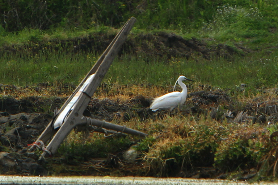 꾸미기_2010-05-13 047.jpg