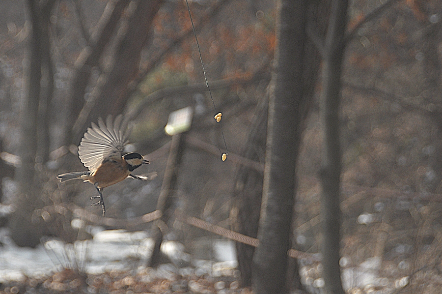 2019,새촬영 (132).JPG