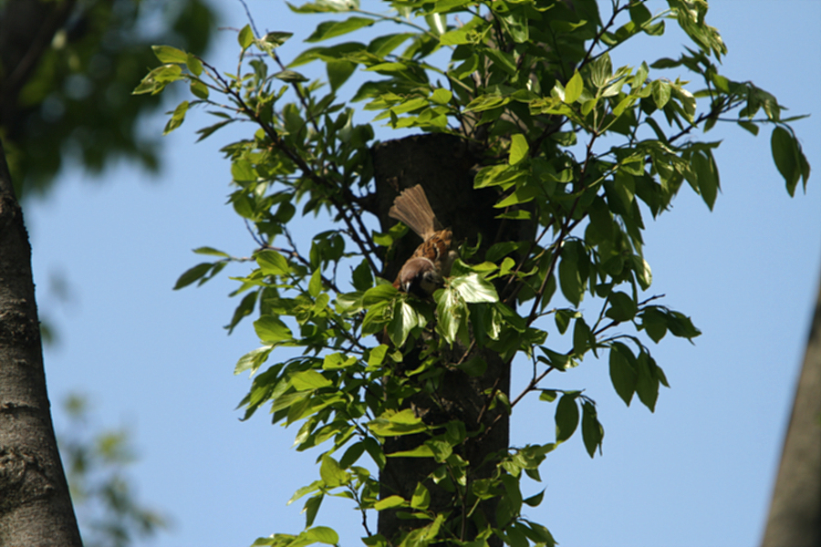 2010-05-14 201.jpg