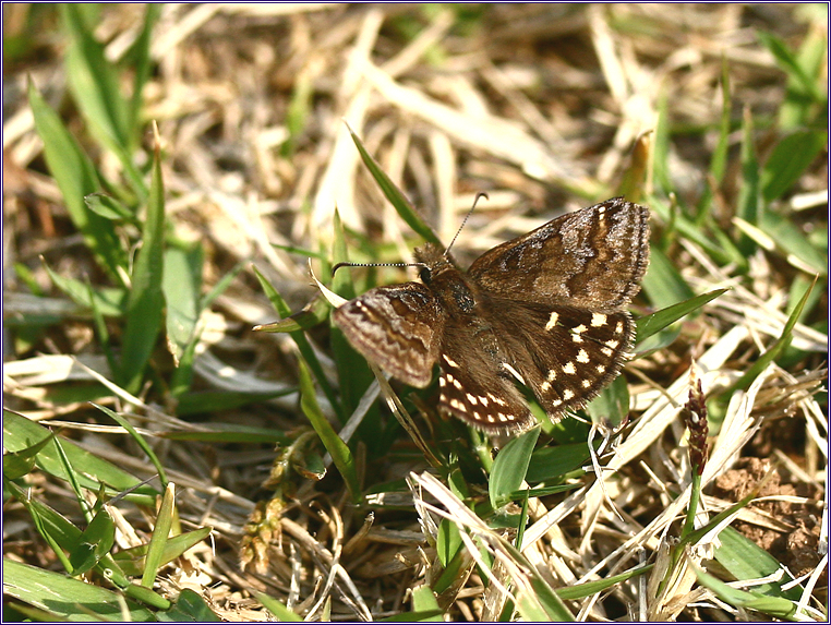 꾸미기_2010-04-30 026.jpg