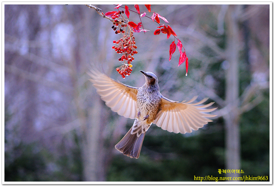 DSC_5624.jpg