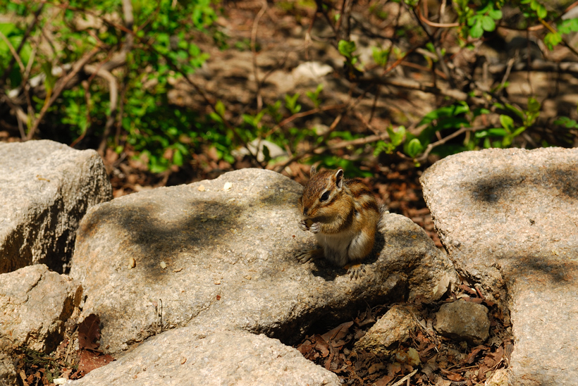 DSC_2074-1.jpg