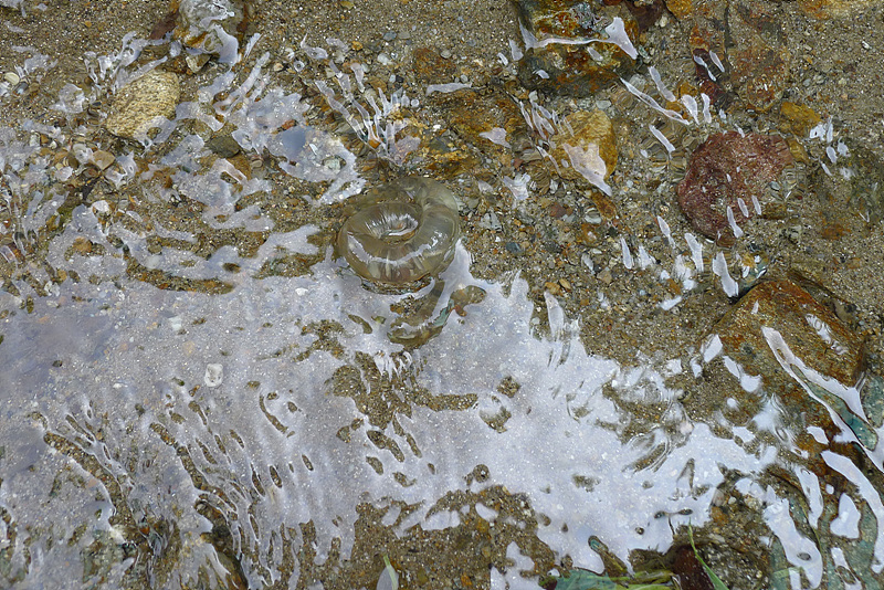 20120602-L1000503.jpg