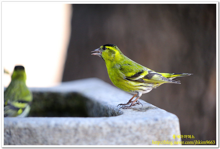DSC_7753.jpg