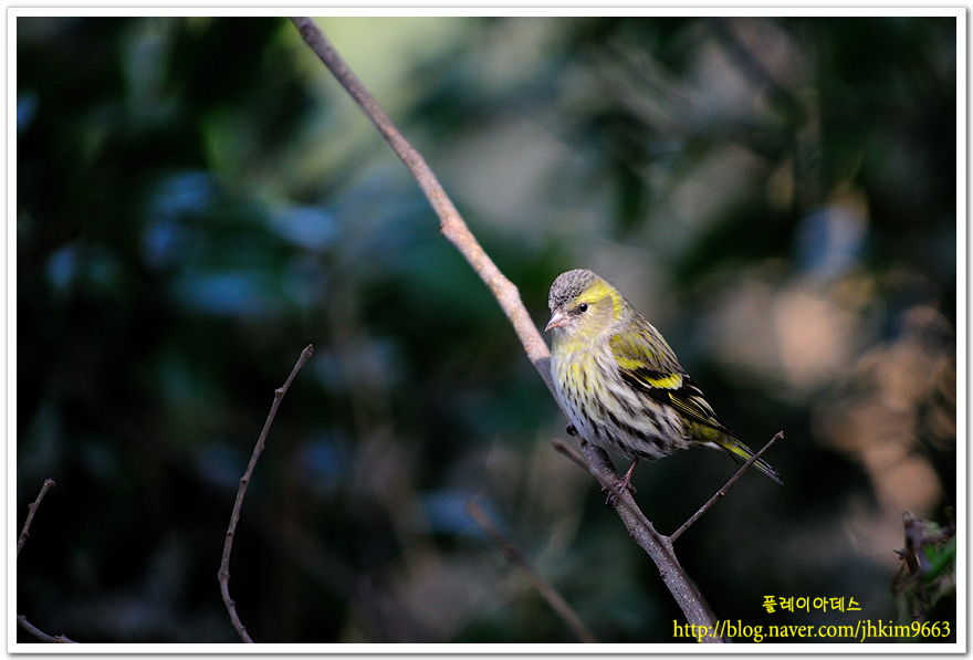 DSC_7776.jpg