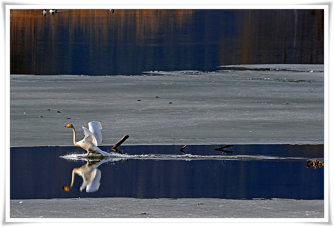 DSC_6212-1.jpg