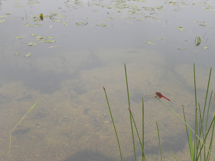 DSCN1770.jpg