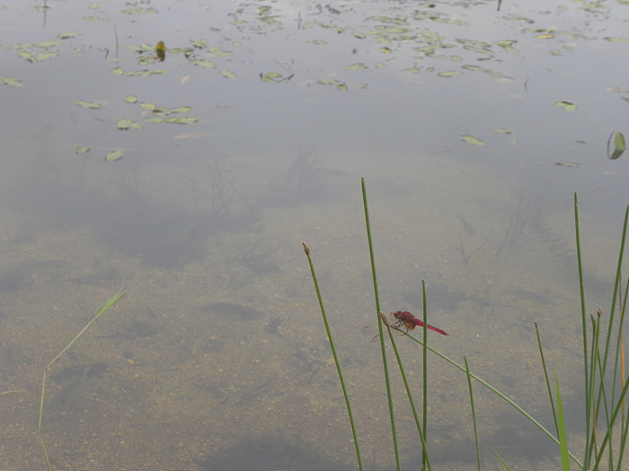 DSCN1769.jpg