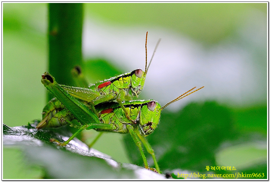 DSC_3218a.jpg
