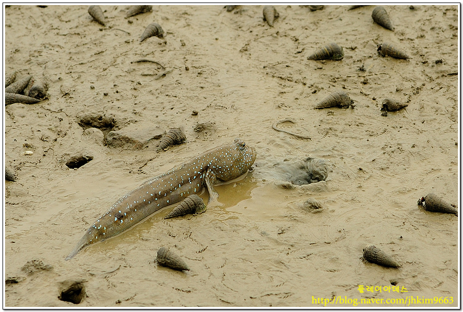 DSC_7051.jpg