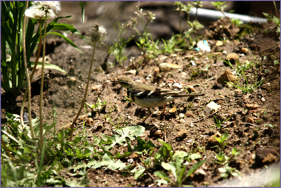 2011-05-14 108.jpg