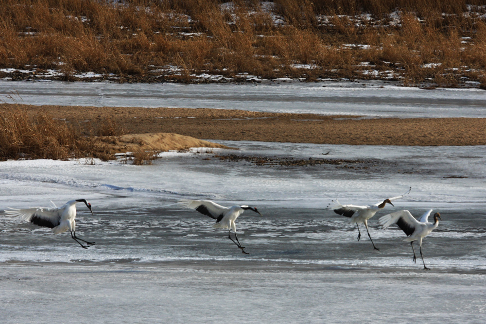 IMG_9146-1.jpg