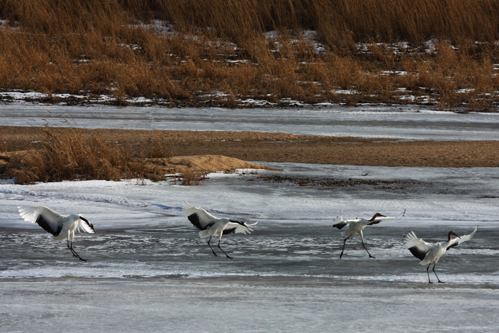 IMG_9144-1.jpg