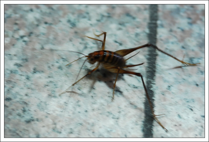 크기변환_DSC_0018.jpg