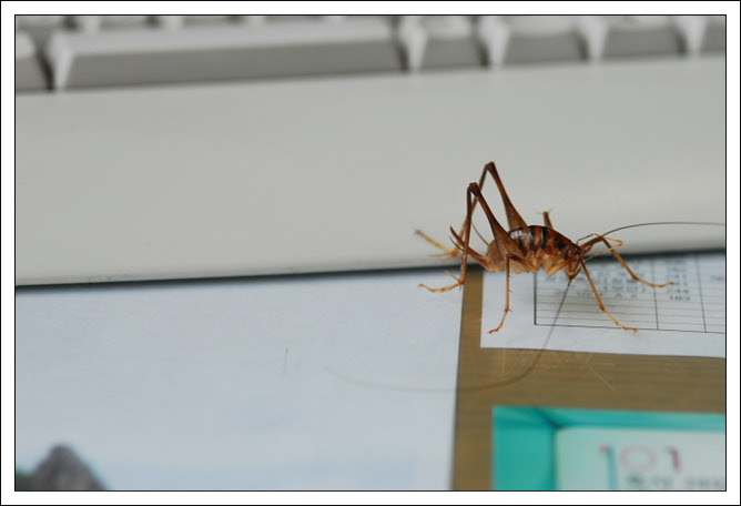 크기변환_DSC_0001.jpg