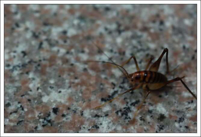 크기변환_DSC_0014.jpg
