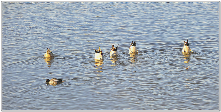 DSC_0427_0047.jpg