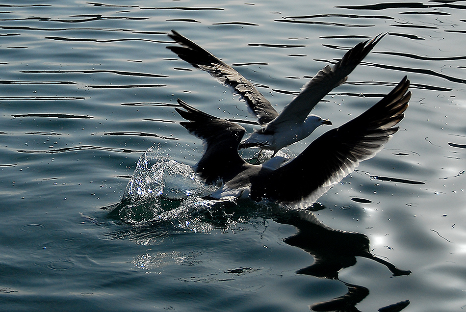 DSC_0053.jpg