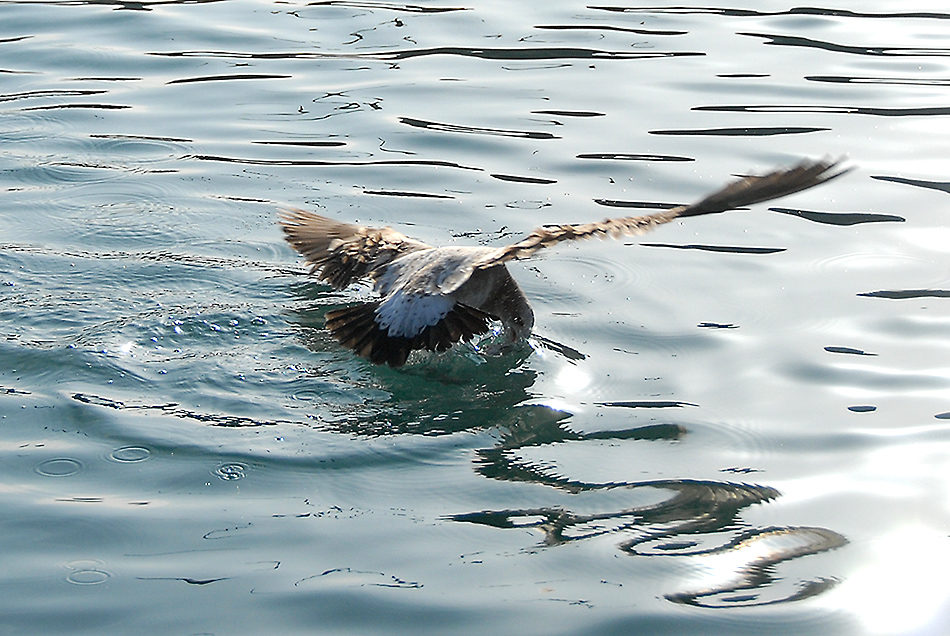 DSC_0047.jpg