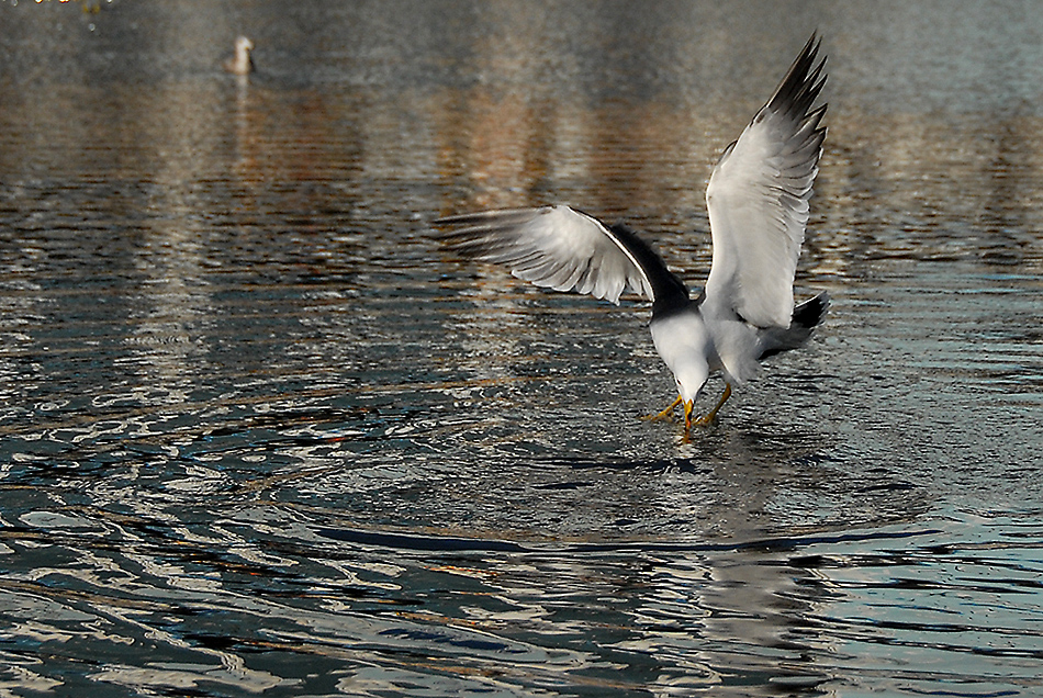 DSC_0193.jpg