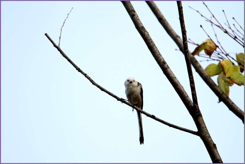꾸미기_2010-10-05 151.jpg