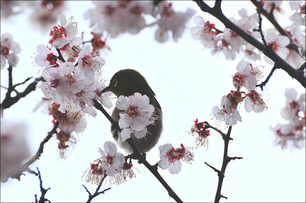DSC_7802-1.jpg