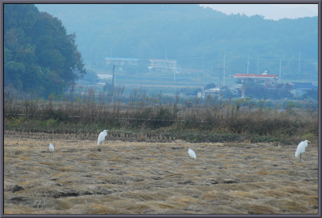 크기변환_DSC_0218.jpg