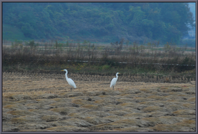 크기변환_DSC_0228.jpg
