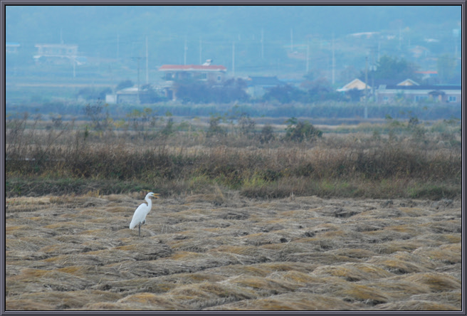 크기변환_DSC_0226.jpg