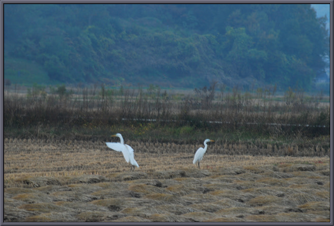 크기변환_DSC_0227.jpg