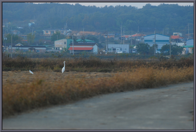 크기변환_DSC_0189.jpg