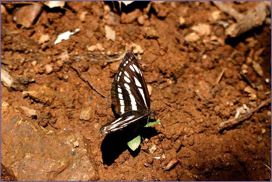 꾸미기_2011-06-03 098.jpg