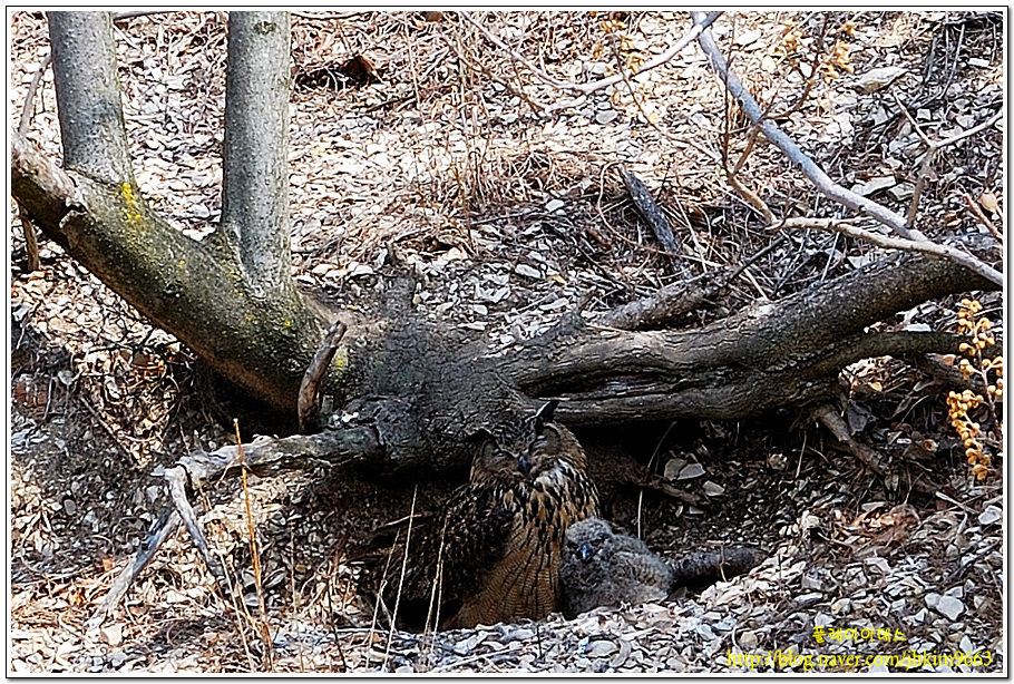 DSC_1875.jpg